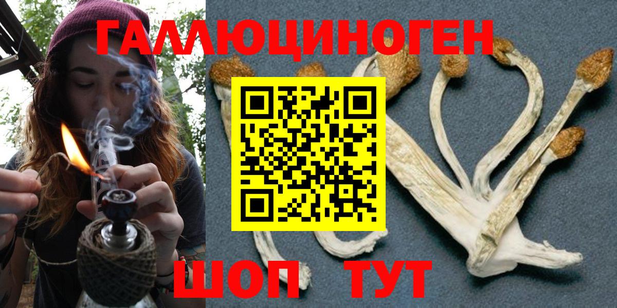 Псилоцибиновые грибы GOLDEN TEACHER  Галлюциногенные грибы мицелий  Вход с VPN  Краснокамск 